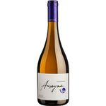 Garces-Silva-Amayna-Chardonnay-2022