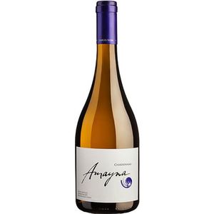 Garces Silva Amayna Chardonnay 2022