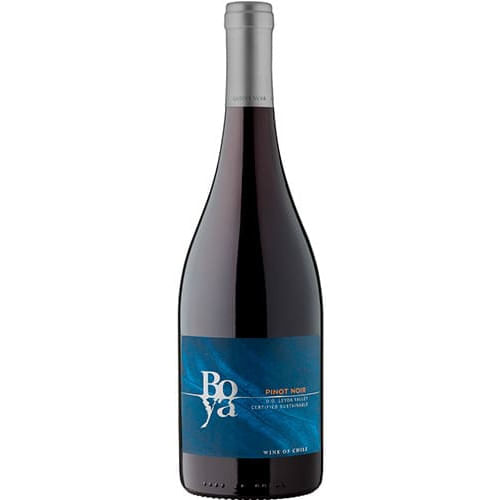 Garces-Silva-Boya-Pinot-Noir-2021