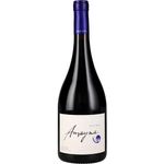 Garces-Silva-Amayna-Pinot-Noir-Premium-2022