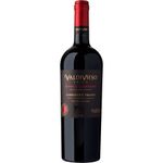 Valdivieso-Single-Vineyard-Carmenere-2021