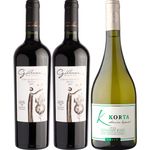 Pack-4--3-Vinos-Mix