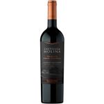 San-Pedro-Castillo-De-Molina-Tributo-Gran-Reserva-Cabernet-Sauvignon-2021