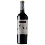 Santa-Ema-Barrel-Reserve-60-40-Cabernet-Sauvignon-Carmenere-2022