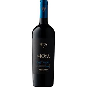 Bisquertt La Joya Single Vineyard Carmenere 2022