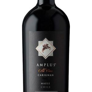 Santa Ema Amplus Carignan Premium 2021