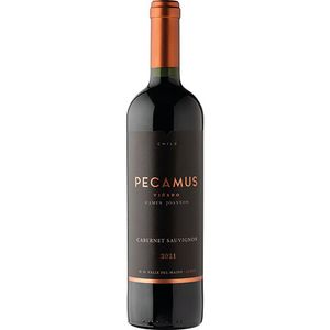 Viña Camus Joannon Pecammus Cabernet Sauvignon 2021