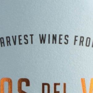 Brisas Del Valle Ensamblaje Tinto Reserva 2022