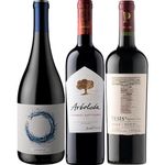 Pack-2--3-Vinos-Premium