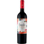 Viu-Manent-Secreto-Malbec-2022