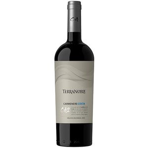 Terranoble Ca2 Costa Carmenere 2021