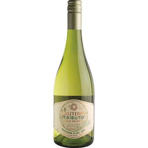 Caliterra Tributo Sauvignon Blanc Gran Reserva 2023