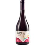 Vultur-Globo-Carmenere-2022