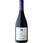 Errazuriz-Aconcagua-Costa-Syrah-2020