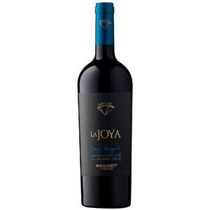 Bisquertt La Joya Single Vineyard C Sauvignon 2021