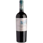 Casas-Del-Bosque-Gran-Reserva-Cabernet-Sauvignon-2023