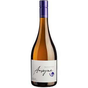 Garces Silva Amayna Sauvignon Blanc 2024