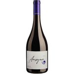 Garces-Silva-Amayna-Syrah-2021