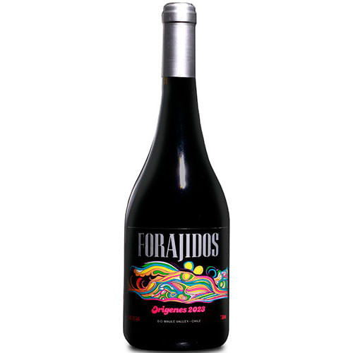 Forajidos-Origenes-Pais-2024