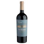 Viu Manent Single Vineyard Syrah El Olivar 2022