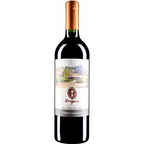 Valle Secreto Origen Cabernet Sauvignon 2019