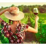 Suscripcion Vuelos Tintos (3 Meses)