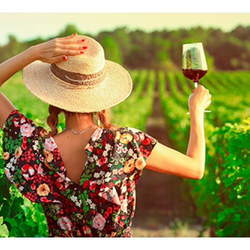 Suscripcion Vuelos Tintos (3 Meses)