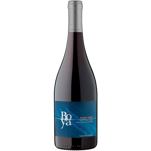 Garces Silva Boya Pinot Noir 2020