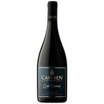 Carmen Petite Syrah Gran Reserva 2022