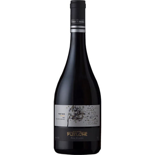 Casa Romero Viento Puelche Pinot Noir 2022
