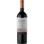 San Pedro Castillo De Molina Carmenere Gran Reserva 2024