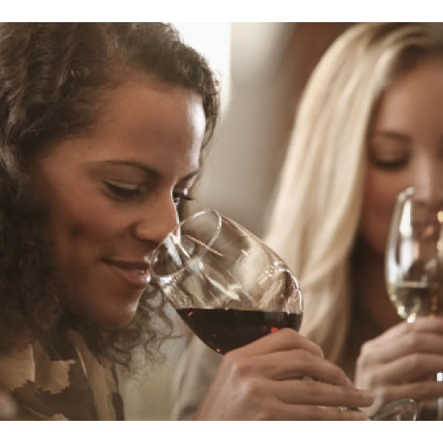 Suscripcion Vuelos Mixtos