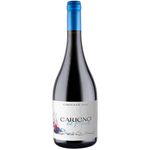 Moretta Wines Carigno Del Maule Carignan 2022