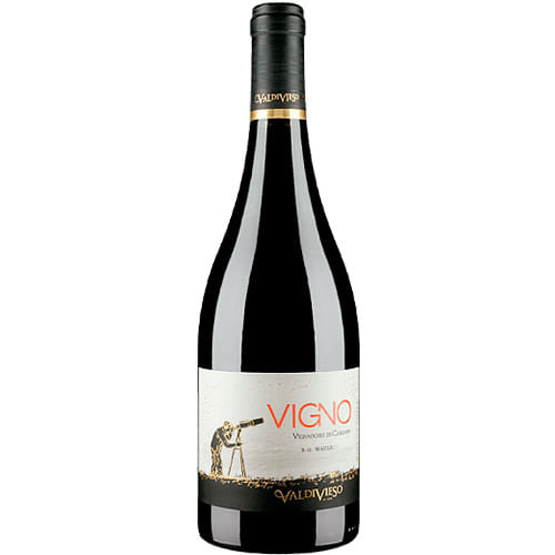 Valdivieso Eclat Vigno Carignan 2019