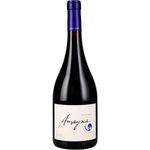 Garces Silva Amayna Pinot Noir Premium 2023