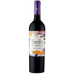 Viu Manent Secreto Cabernet Sauvignon 2024