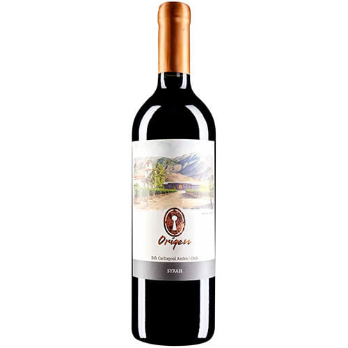 Valle Secreto Origen Syrah 2023