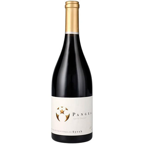 Ventisquero Pangea Syrah 2018 En Estuche