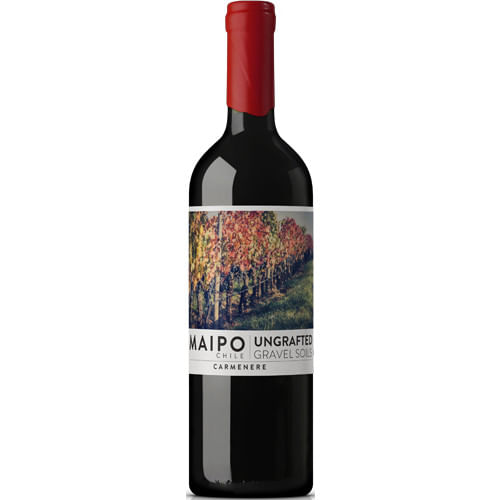 De Martino Ungrafted Carmenere 2023